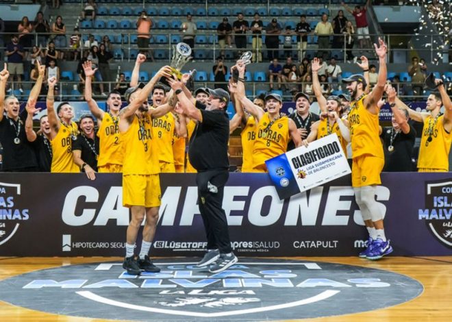 Se terminó el ciclo profesional de Obras Basket